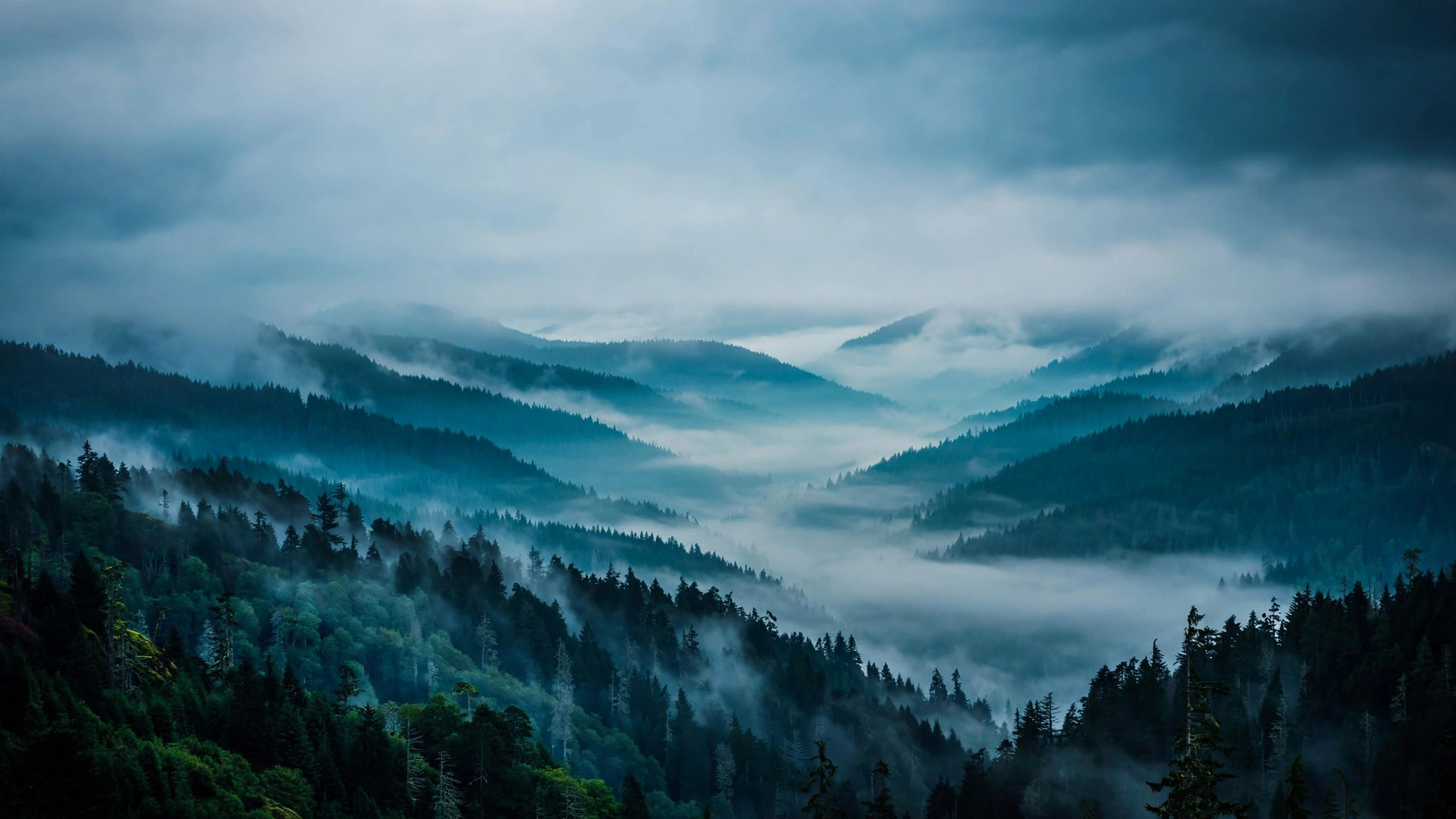Misty evergreen mountains in Oregon at dawn